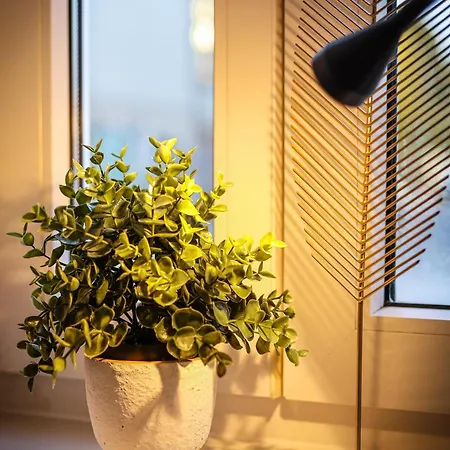 Bohnapartments Am Anger Eg - 3 Badezimmer - 3 Schlafzimmer - Zentrum - Vollausstattung - Wlan
